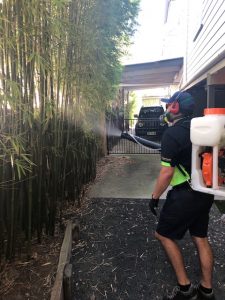 Professional mosquito treatment image