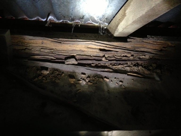 Termite damage to roof timber